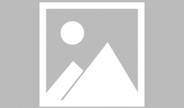 松江车墩爆料事件最新消息,最新进展及影响揭秘