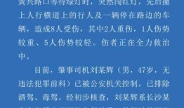 长沙事件爆料视频最新消息,真相渐明，疑云重重揭开序幕